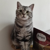 文竹shirley