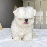 有点饿了