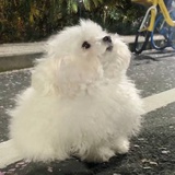 可爱的酷小伙~