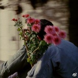 Rosamond阿卷