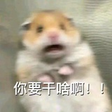 Fay。