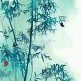 风竹客