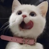 红泥小火炉
