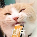 书书