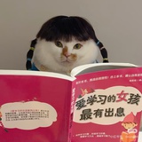 艺术兔宝