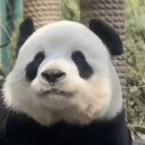 在水一方许小波