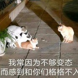 好大一个、煎饼