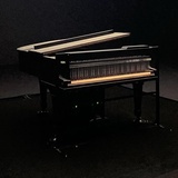 AN