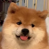 白云载酒。