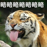 闭麦玩家欢乐多