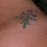 天外来物的甜蜜莎文