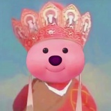 露露核桃露