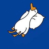 大白鹅推文