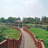 来自未来