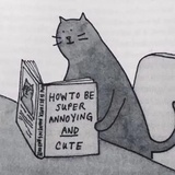 柴采采