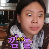 沙鸡大队长