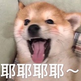 咸鱼(已躺平)