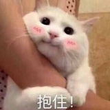 天秤做的你