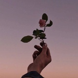 朵拉