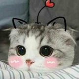 团团毛线