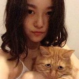 喵咪
