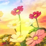 Lily 虹