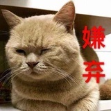 拾荒者