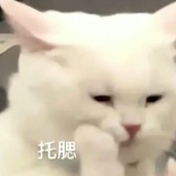 耶耶耶耶耶