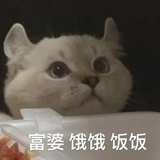 元气少妇林品如