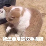 流泪烟头