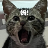 呜呜呜呜呜