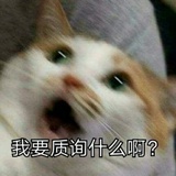 流泪猫猫头😿