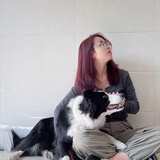 汪汪有猫猫