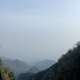 世安