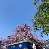 横道世之介