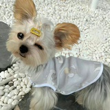 小丸丸子吖