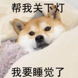 油麦菜
