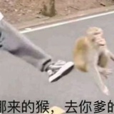 黄油扁扁可颂饼