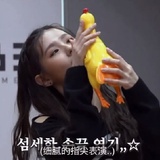 盛世美延曺薇娟