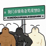 马孔多雄大蠊