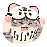 猪猪