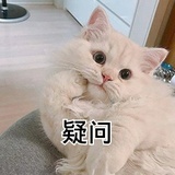 给你一个菠萝咒