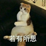 抱起我的小石头