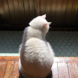 宝贝