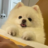 ayo呦～～