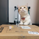 银盐