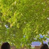 茯生半日闲