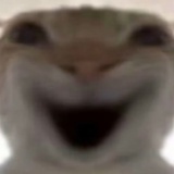 易闻