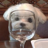 我要多一点快乐