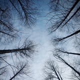 UP